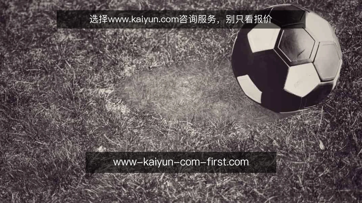 选择www.kaiyun.com咨询服务,别只看报价