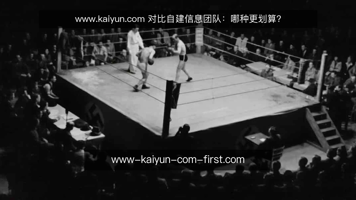 www.kaiyun.com 对比自建信息团队:哪种更划算?
