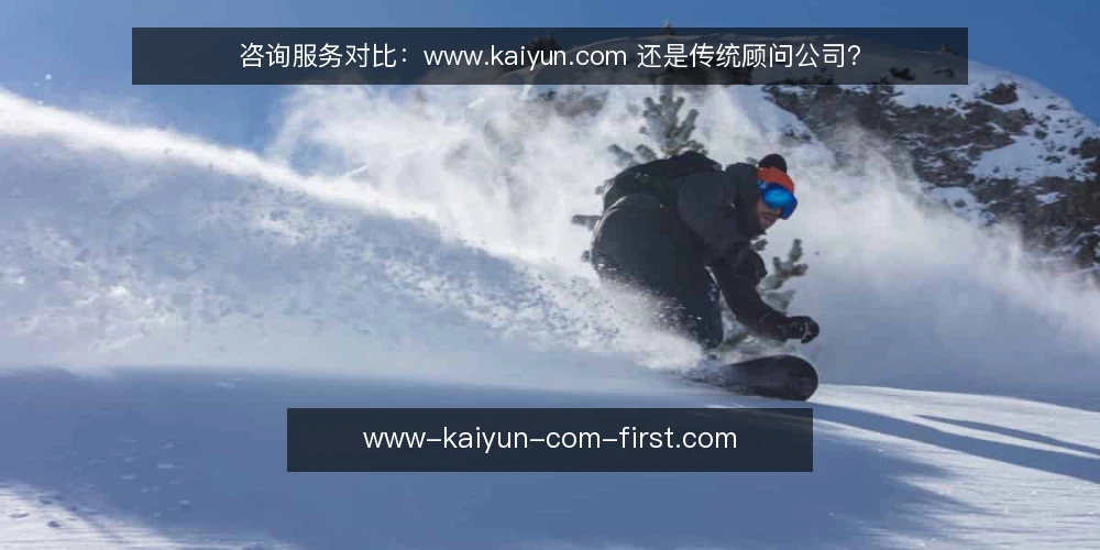 咨询服务对比:www.kaiyun.com 还是传统顾问公司? — 为什么现在需要做服务选型审计 配图
