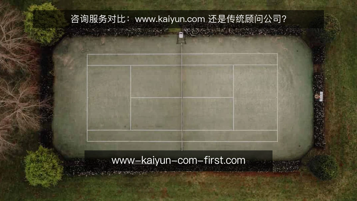 咨询服务对比:www.kaiyun.com 还是传统顾问公司?