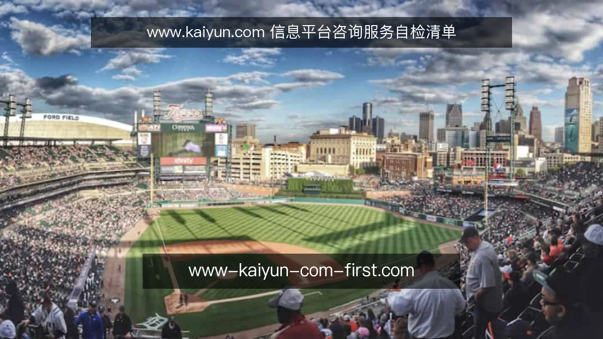 www.kaiyun.com 信息平台咨询服务自检清单