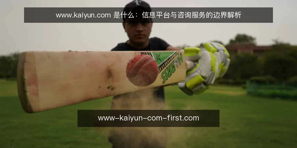 www.kaiyun.com 是什么:信息平台与咨询服务的边界解析 — 定义:信息平台与咨询服务的所指 配图