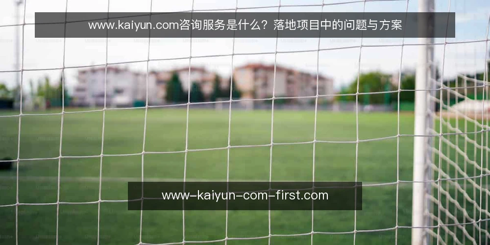 www.kaiyun.com咨询服务是什么?落地项目中的问题与方案 — 落地项目中的信息困境 配图