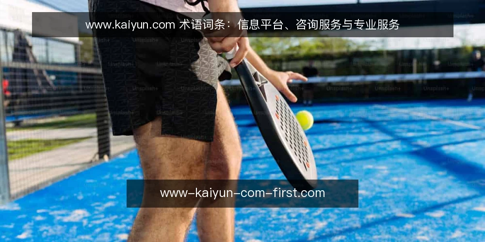 www.kaiyun.com 术语词条:信息平台、咨询服务与专业服务 — 先定选型标准:术语边界与决策维度 配图