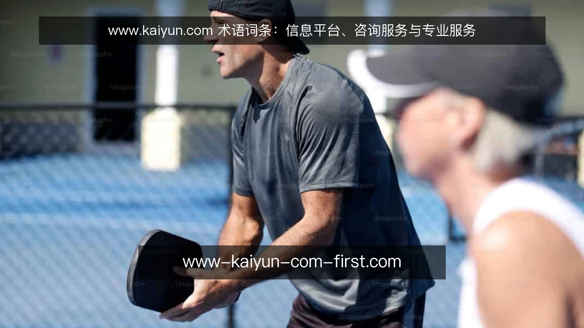 www.kaiyun.com 术语词条:信息平台、咨询服务与专业服务