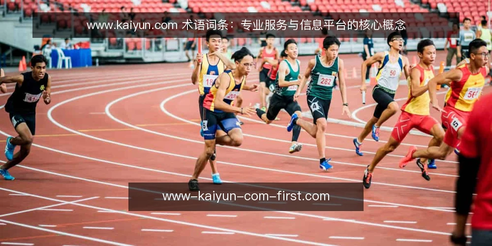www.kaiyun.com 术语词条:专业服务与信息平台的核心概念 — 什么是 www.kaiyun.com 信息平台? 配图