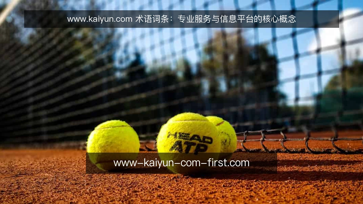 www.kaiyun.com 术语词条:专业服务与信息平台的核心概念