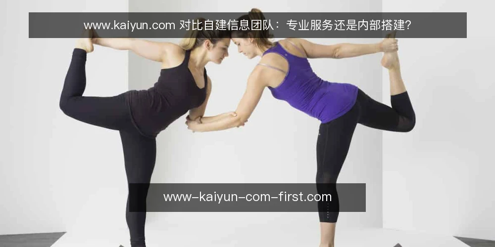 www.kaiyun.com 对比自建信息团队:专业服务还是内部搭建? — 先定选型标准:从需求到维护的五个问题 配图