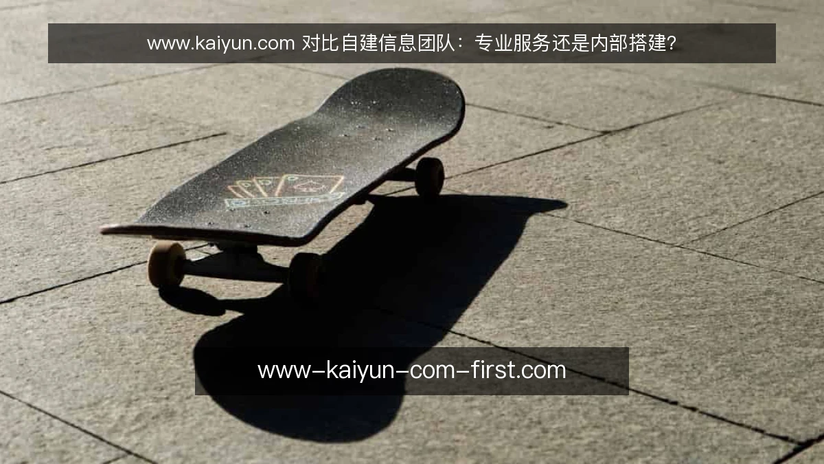 www.kaiyun.com 对比自建信息团队:专业服务还是内部搭建?